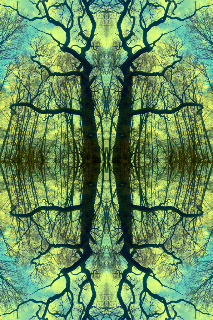 Look Up 37, 2024 (Maidstone)
